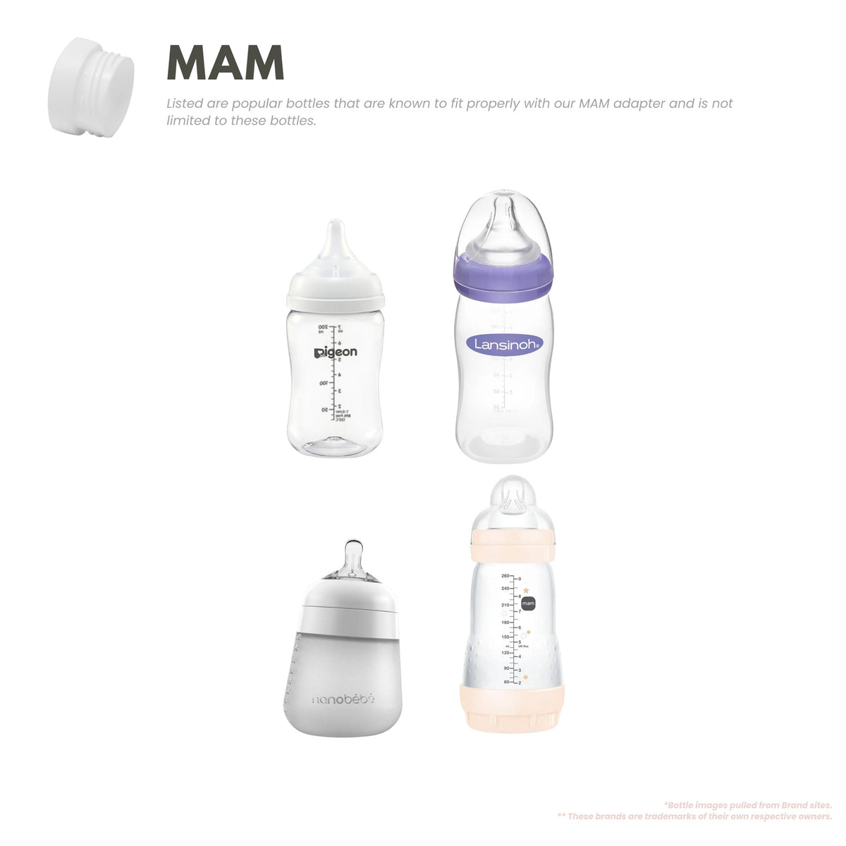 Baby's Brew MAM bottle adapter shown with Pigeon, Lansinoh, Nanobébé and MAM baby bottles by Mama's Dream